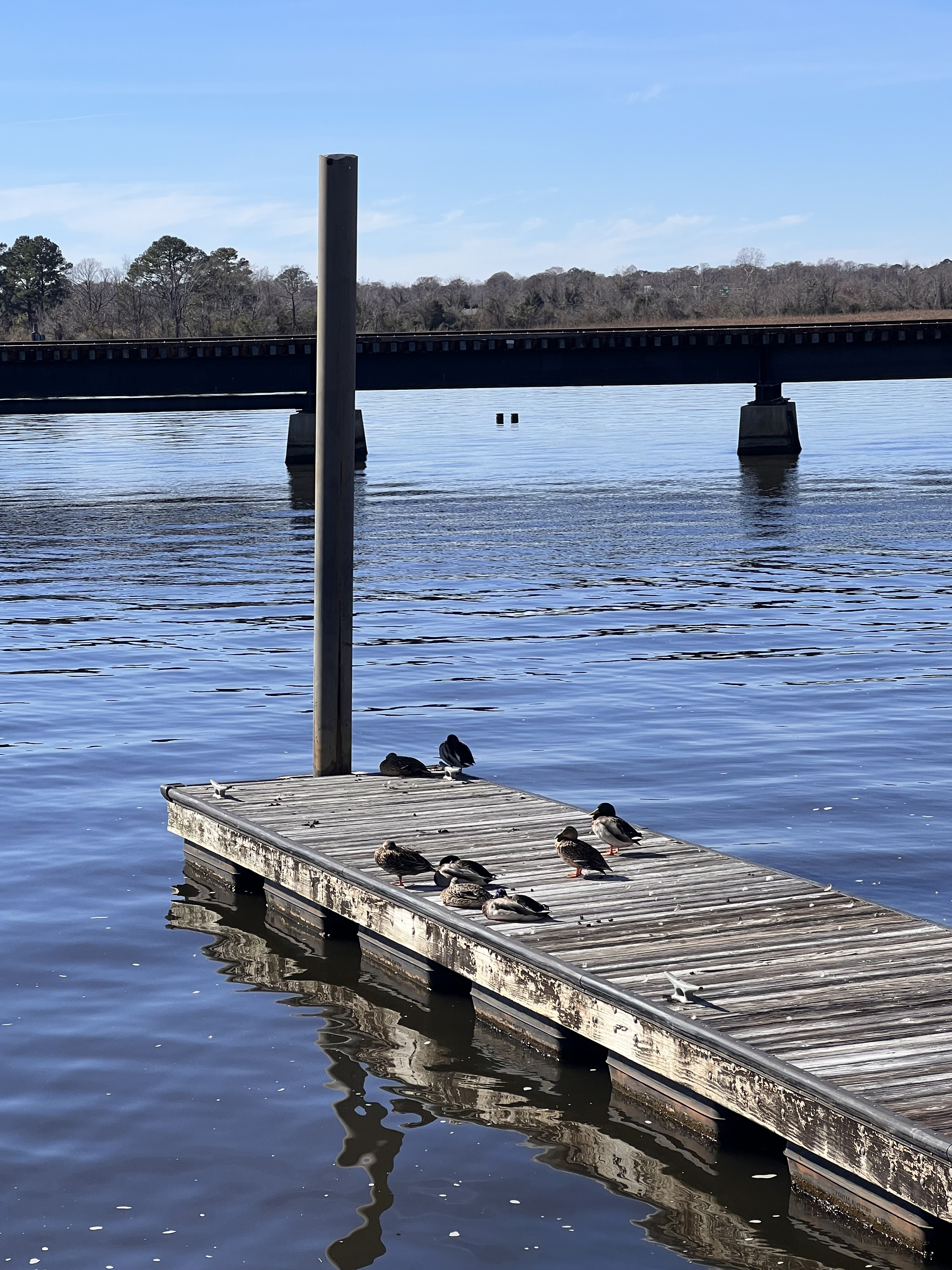 ./2023/01 - New Bern/IMG_6239.jpg